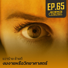 Science Facts EP.65 ขวาร้ายซ้ายดี งมงายหรือวิทยาศาสตร์