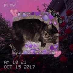 kiselus-вечно 17