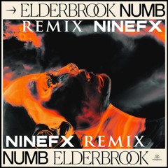 Elderbrook - Numb (NineFX Remix)
