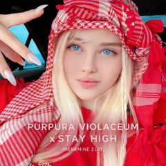 [FREE DL] PURPURA VIOLACEUM x STAY HIGH (MerkMine Hard Edit)