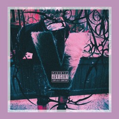 Arriba del Xan (Kartaz Edit)