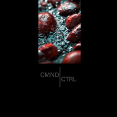 Filippo Peschi (Feat B. Riley Remix) [CTRL069] Previews