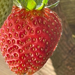 friday nights on sooke