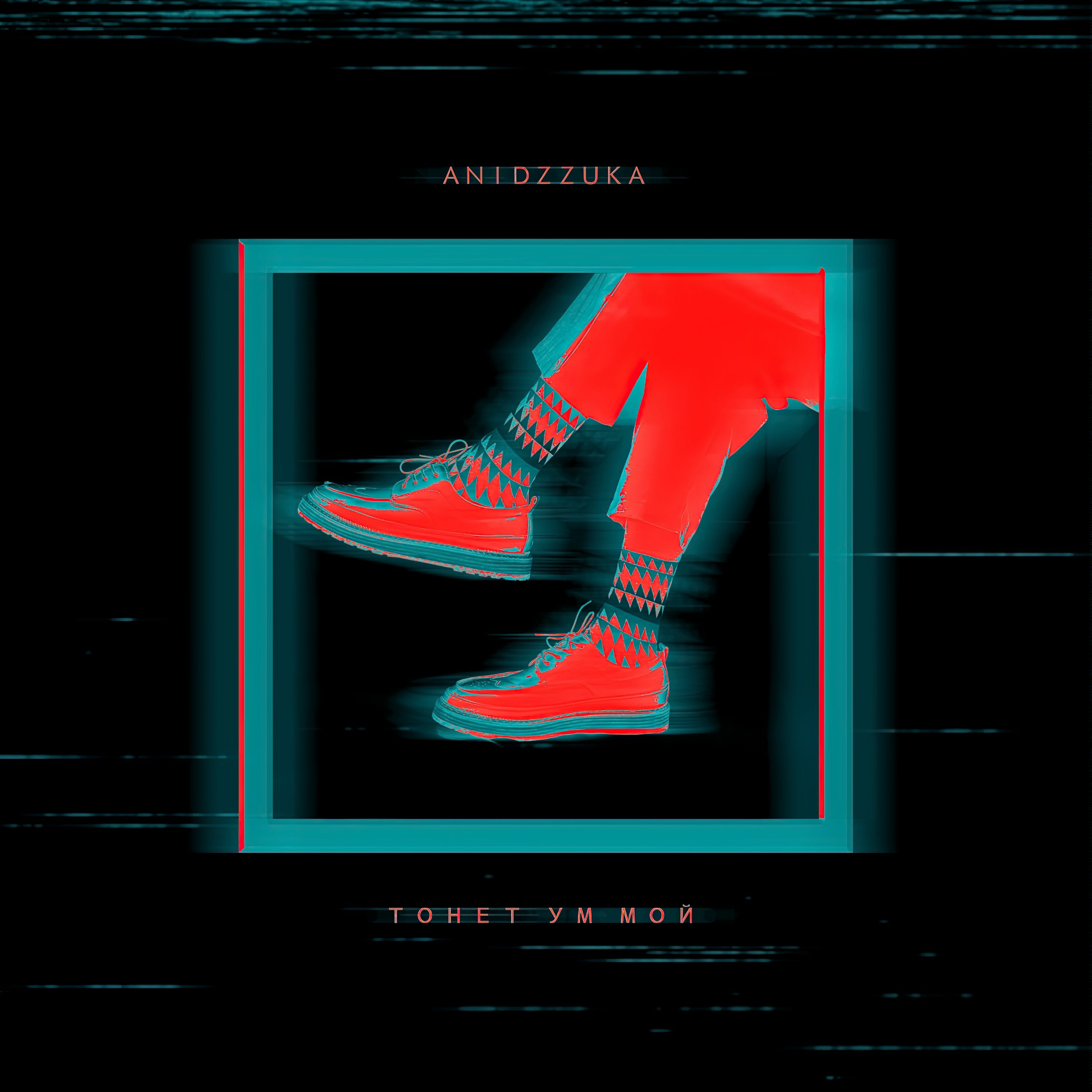 ANIDZZUKA