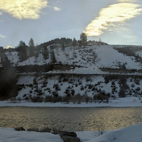 Stream Elowan Sacred Evolution Listen to Sweet and Gentle Alarm