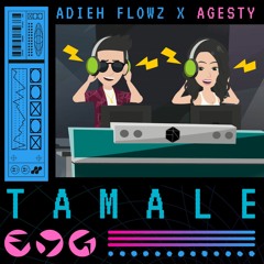 Adieh Flowz x Agesty - Tamale