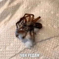 Шорохи Три дня дождя