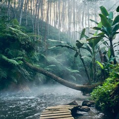 MOONLIGHT VMVZONIV - BVNKS FEAT PUNCHVCVLV