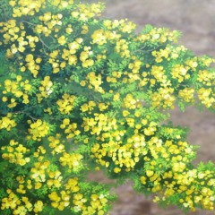 that’s that and this is this