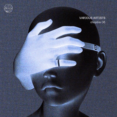 Chapitre 06 - Various Artists [ATNMVA06]