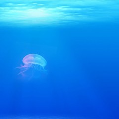 Loop - Peace underwater