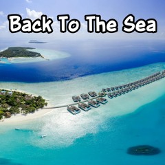 Back to the Sea