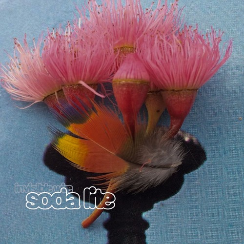 Invisible wire – Soda Lite