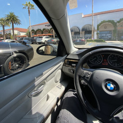 WTM Scoob - The Bodega