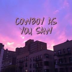 Cowboy As You Saw