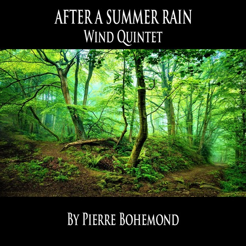 After A Summer Rain - Wind Quintet
