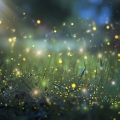 Fireflies (instrumental demo)