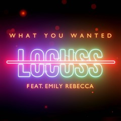 WHAT YOU WANTED [FEAT EMILY REBECCA]