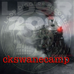 LDSR 2o8 - ckswanecamp - TRAIN RIDING