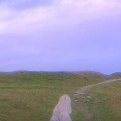 dzień dobry przestań chodzić mi po głowie proszę dziękuję