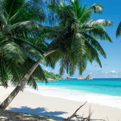 Fyze - Tropical [Pre-Release here on SoundCloud, coming soon on Spotify]