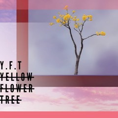 YFT (yellow flower tree)