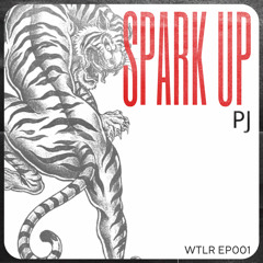 Spark Up - PJ