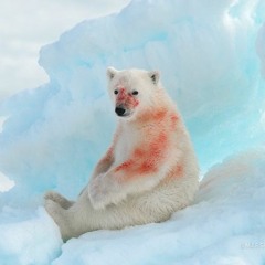 nsd freestyle 3 prod wyabt