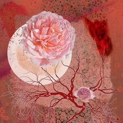 As Roses Remember