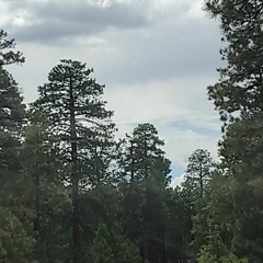 Ruben J Ending Rnd Anthony B Drumming