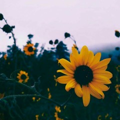 Main Udna Chahta Hoon || YJHD