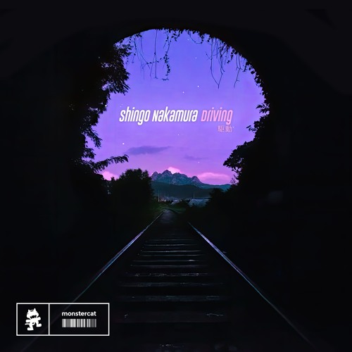 Shingo Nakamura - Driving