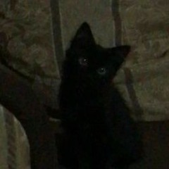 غيرت طقم الطيبه - صدي