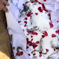 Mehnge Ne Moti Sidhu moosewala