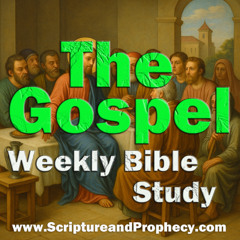 Service Well-Pleasing to God: The Twelfth Sunday After Pentecost - Lectionary: 08/31/2025