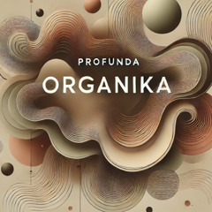 Profunda Organika_Live_On-Platz