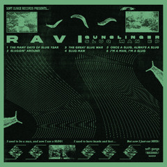 The Many Days of Slug Year (Psychological Tinnitus Remix)