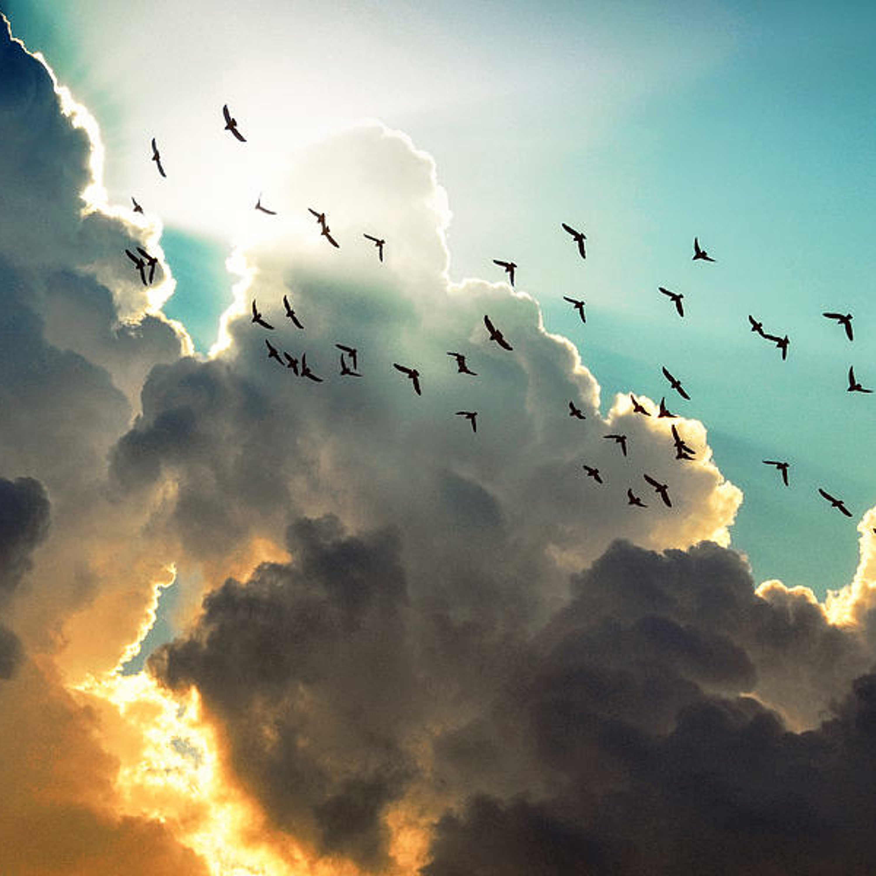 Under the sky