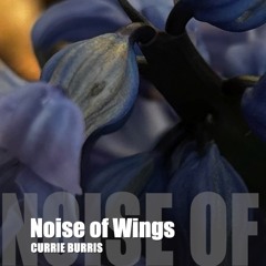 Noise of Wings--Emergent Hammer Dulcimer