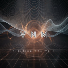 VNM_369 - Piercing The Veil (Trainline Rave Set)