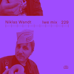 LWE Mix: 229 - Niklas Wandt