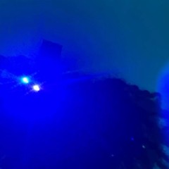 Fakefriends(trapmoneybiggie)