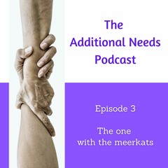 The Additional Needs Podcast (3) The one with the Meerkats
