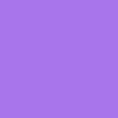 PURPLE GARDEN