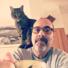 Dancing Queen Chorus (cover)