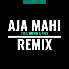 Aja Mahi (Remix) Feat.  Pree