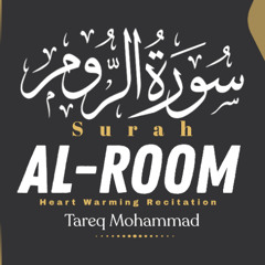سورة الروم - طارق محمد
