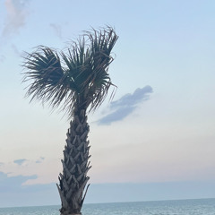GOING_MIA