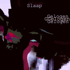 Slaap - Gelogen