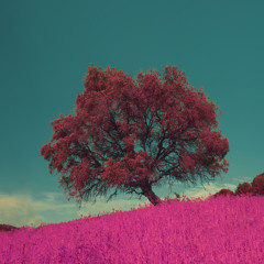 Beautiful world (prod. ThatKidGoran)